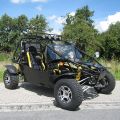 Buggy Goka 650