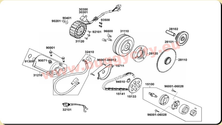 Lichtmaschine, Anlasser, Ölpumpe, PGO Bugrider 250
