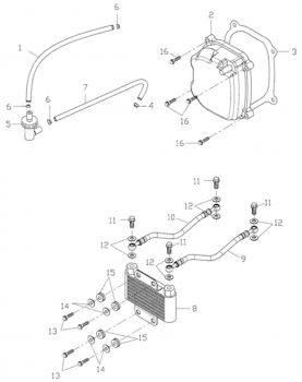 Nr.6 - Clip 12mm