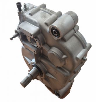 Getriebe, Rückganggetriebe komplett, PGO Bugrider 250 DS